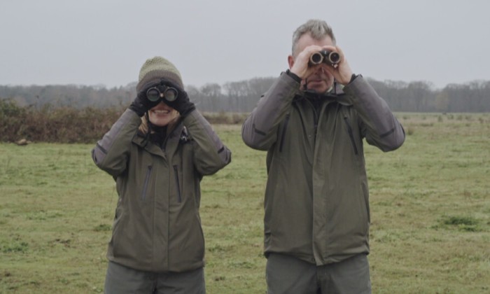 Grote grazers helpen de natuur herstellen in de Maashorst