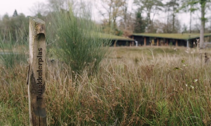 Natuur begraafplaats