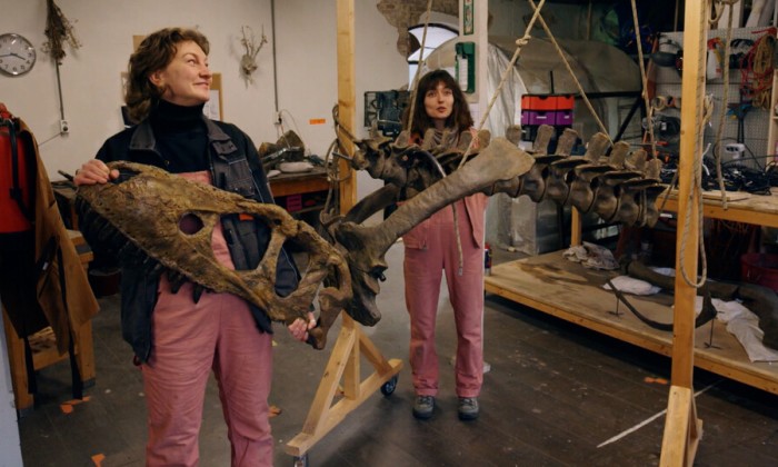 oud materiaal dino’s en prepareren ze fossielen voor musea en particulieren