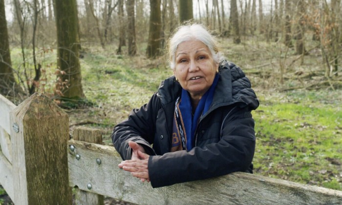 Ambonezenbosje in Groningen