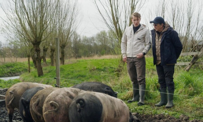 Stijn houdt Berkshire varkens