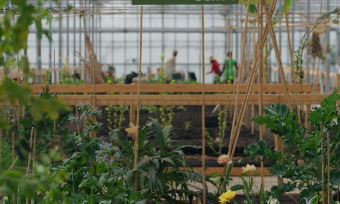 tuinieren