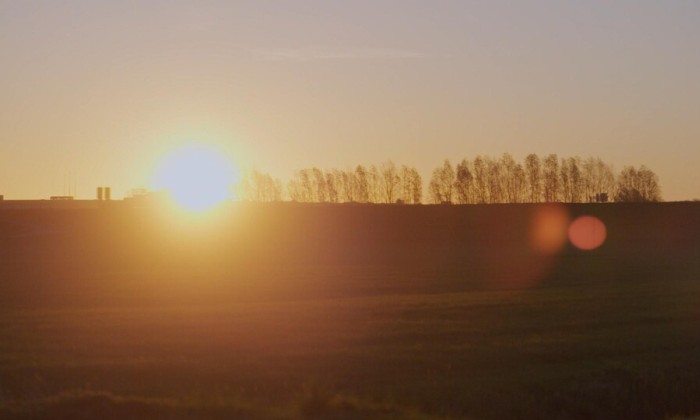 zon