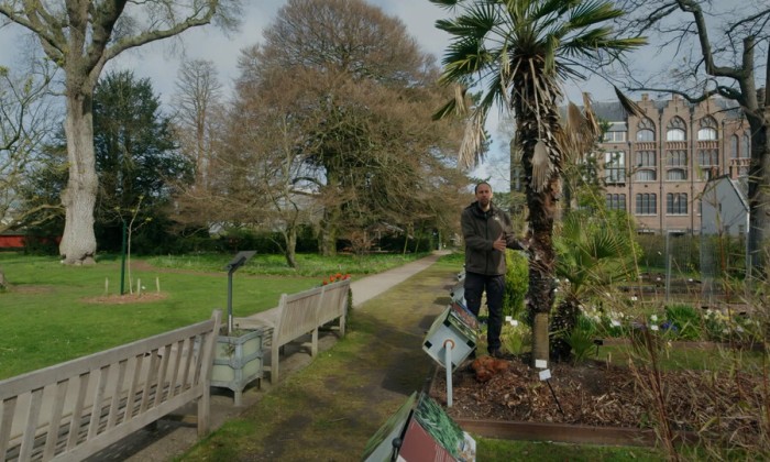 Planten Rogier