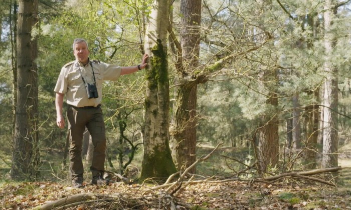 Wildleven op De Hoge Veluwe