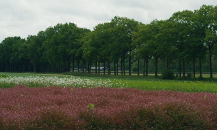 natuur