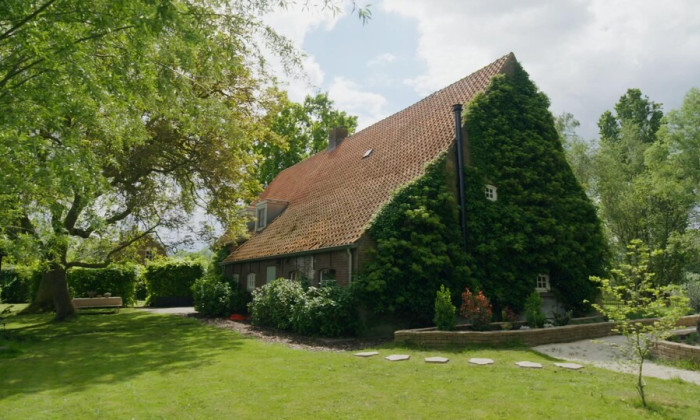 Groen huisje