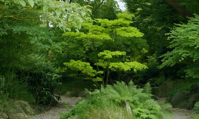 Planten