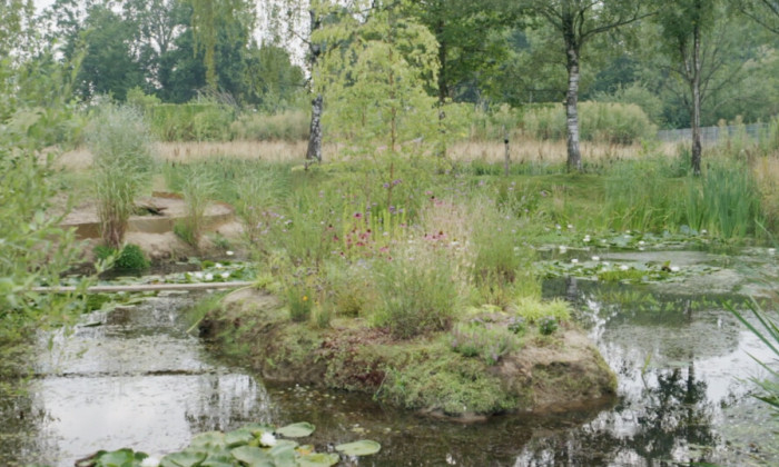 Deze vijver is een rijkdom aan planten en dieren