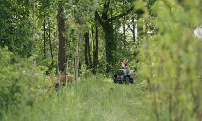 Jade en hond op tractor