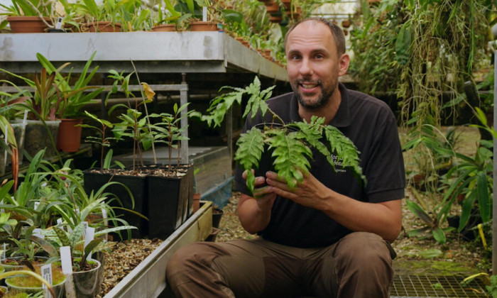 Planten met bijzondere krachten in de Hortus