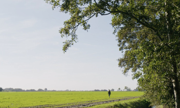 Een historische boomgaard vol verhalen