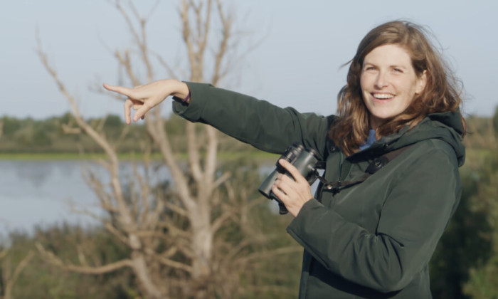 Lepelaars en kluten Oostvaardersplassen