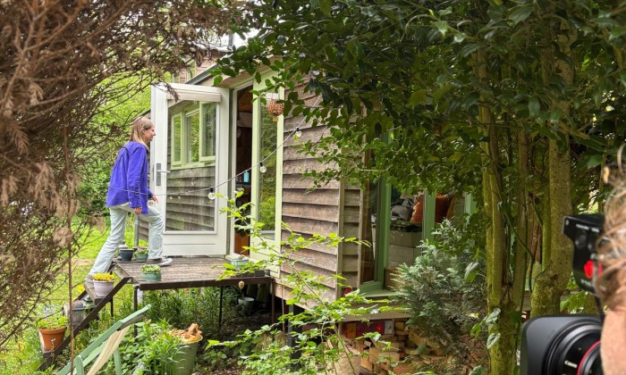 Tiny House in het groen