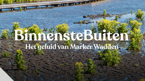 Het geluid van Marker Wadden