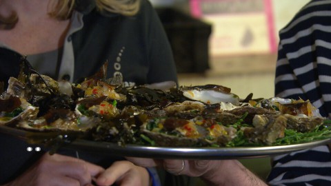 zeewier met oesters Zeewier met oesters