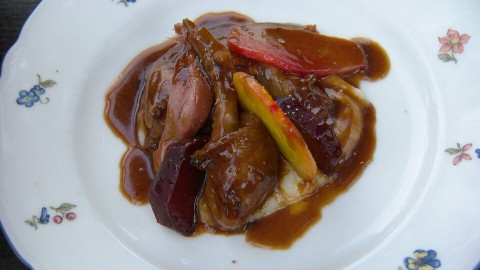 Duif en pastinaak duif en pastinaak