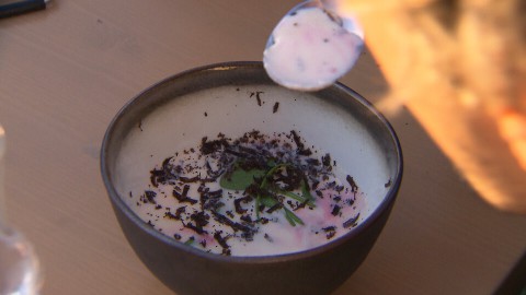 Aardpeer en truffel crème met gekleurde bietsoorten Aardpeer en truffel crème