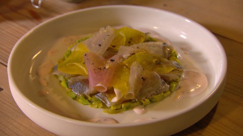 carpaccio haring carpaccio haring
