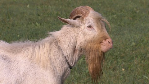 137natuur 137natuur