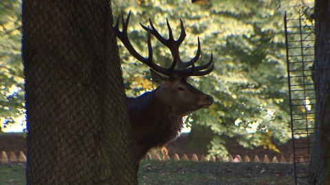 147natuur 147natuur