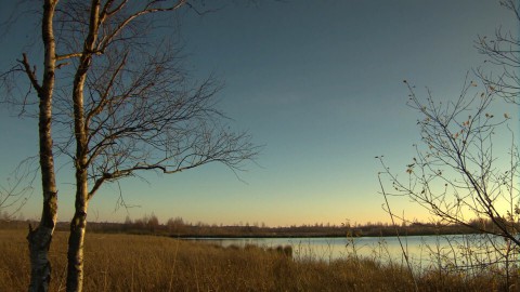 11natuur 11natuur