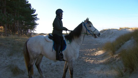 Marieke te paard (37) Marieke te paard (37)