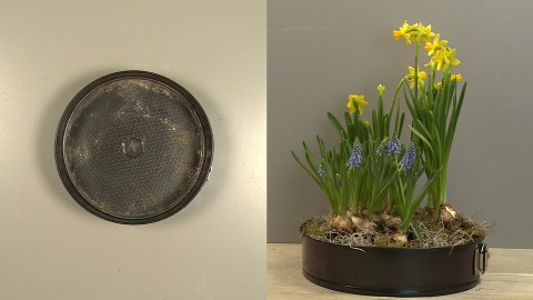 Van springvorm naar lentebloemstuk Van springvorm naar lentebloemstuk