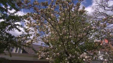 Siroop met stadse ingrediënten (90) Siroop met stadse ingrediënten (90)