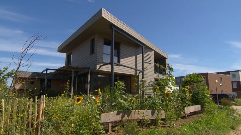 Huis met opvallende vorm (98) Huis met opvallende vorm (98)