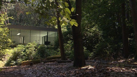 Huis midden in het bos (114) Huis midden in het bos (114)