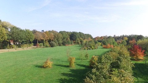 Arboretum Tuinvreugd (156) Arboretum Tuinvreugd (156)