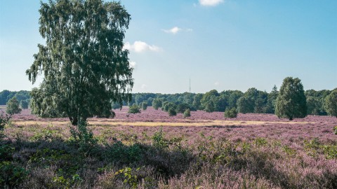 Kabbelende beekjes Kabbelende beekjes