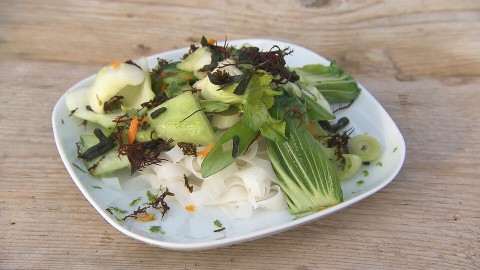 Zeewier-noedelsalade (167) Zeewier-noedelsalade (167)