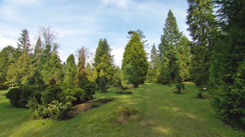 Pinetum (87) Pinetum (87)