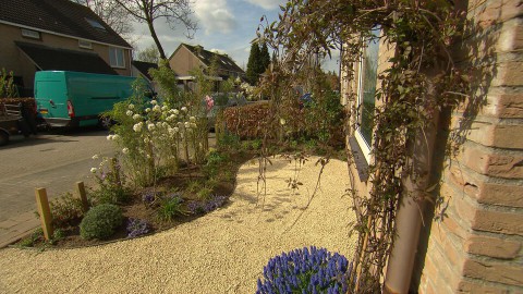 Voortuin Eindhoven (83) Voortuin Eindhoven (83)