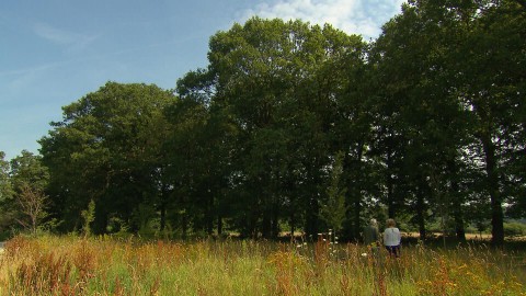 de hoevens de hoevens