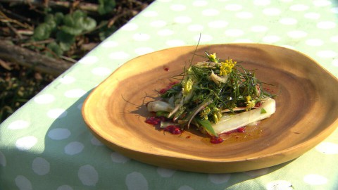 vegan landbouw vegan landbouw
