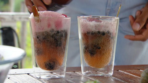 Kombucha Rotterdam drinken Kombucha Rotterdam