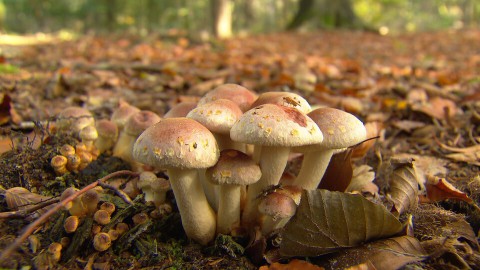 158natuur 158natuur