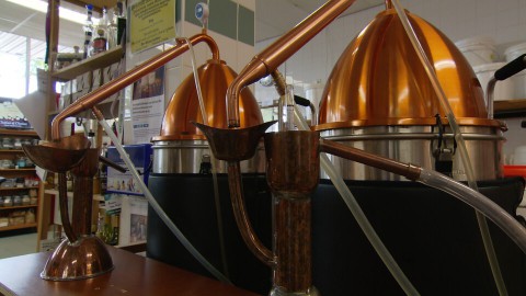 Seriousbeedistillers Schiedam Seriousbeedistillers Schiedam