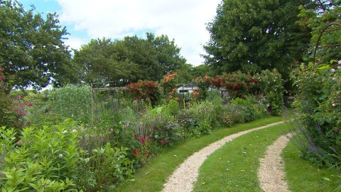 In het Zeeuwse Grijpskerke ligt de kleurrijke bloemen- en grassentuin van Ruud en Willeke Verschuur. De verschillende rozen die als een rode draad door de tuin staan, verraadt de afkomst van Willeke. Een pionier-ster in de Bloementuin