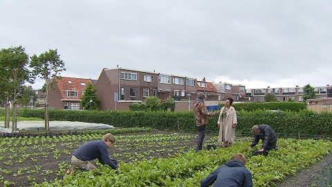 Moestuinieren voor de voedselbank Moestuinieren voor de voedselbank