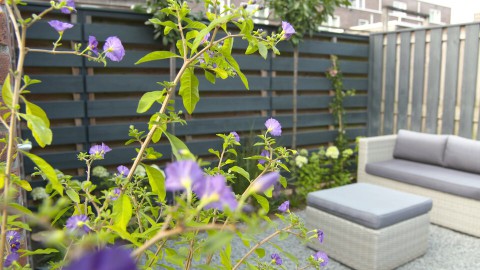 Dieuwertje en Tugay hebben een haat-liefdeverhouding met de tegels in hun tuin. Tugay is gebonden aan een rolstoel en de tegels maken de tuin voor hem toegankelijk. Martin gaat ze hierbij helpen. Rolstoelvriendelijke opknaptuin in Nijmegen