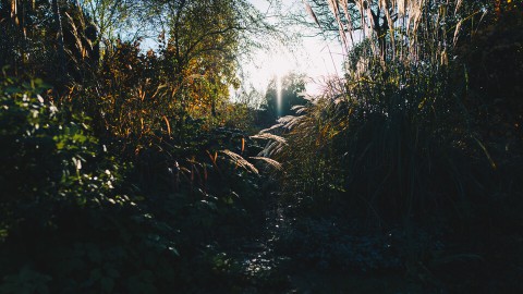 Herfsttuin Someren Herfsttuin Someren