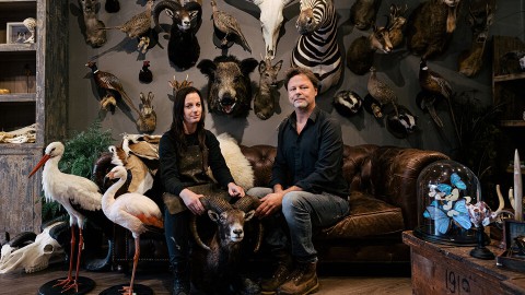 Taxidermie Taxidermie
