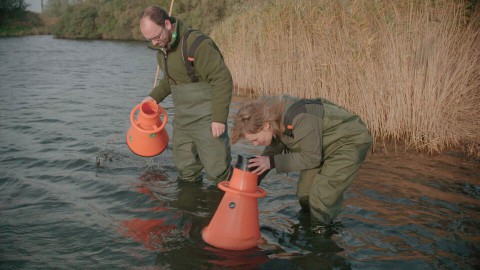 Onderwaterbos Onderwaterbos