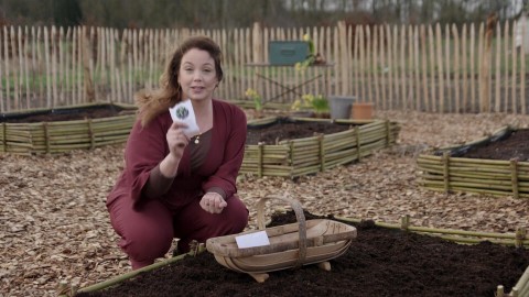 Zo maak je een zaaiplan in de BinnensteBuiten-Moestuin Zo maak je een zaaiplan in de BinnensteBuiten-Moestuin