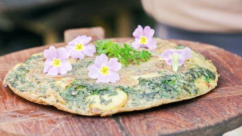 Tortilla van onkruid Tortilla van onkruid
