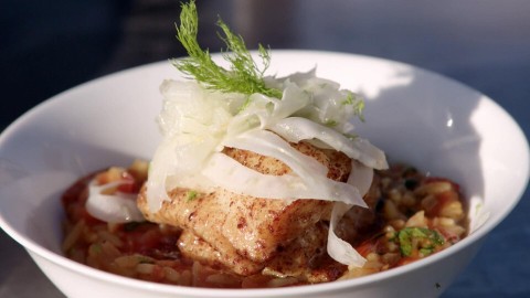 Orzo met gebakken zeewolf, cherrytomaatjes en kruidensalsa Orzo met gebakken zeewolf, cherrytomaatjes en kruidensalsa